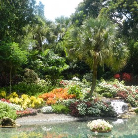 jardim_tropical